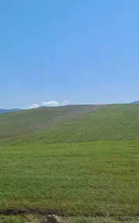 پرده کرکره