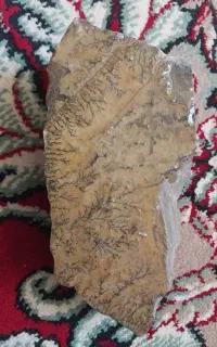 سنگ شجر