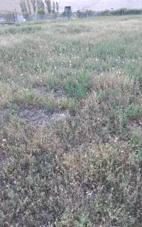 زمین کشاورزی با قیمت مناسب