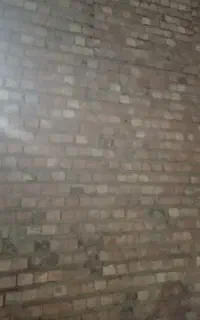 اوستا بنا