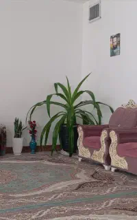 مبل هفت نفره