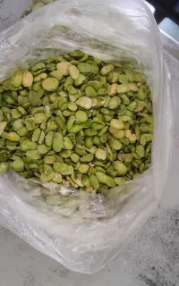 باقله سبز ابسرده