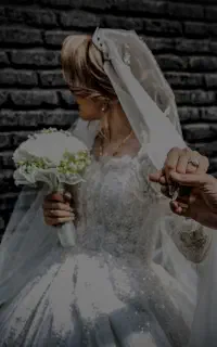 آتلیه تکشات
