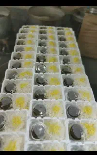 سفارشات غذا با منو ویژه مخصوص ماه محرم و صفر