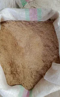 سبوس شالی