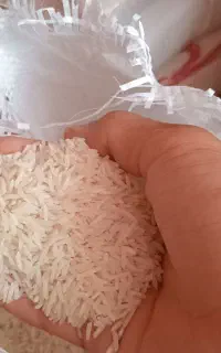برنج فجر سوزنی با عطر بوی  و خوش پخت سورت شده