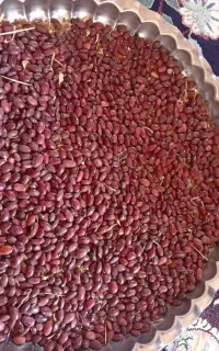 لوبیا قرمز خوشپخت زودپزعالی