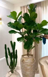 سرویس اداره میخواستم