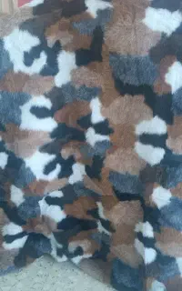 پتو