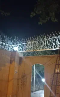 نزده حفاظ شاخ گوزنی