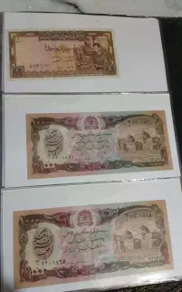 کلکسیون