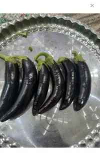 بادمجان محلی