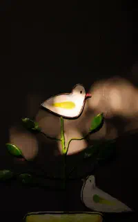 فیلمبرداری و عکاسی