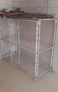 قفس‌‌کبوتر