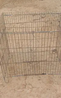 قفس
