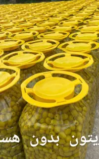 انواع زیتون ترسی جات خیارشور روغن زیتون چای بهاره