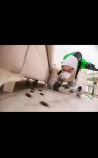 سمپاشی ،سوسک،ساس ،وحشرات