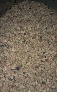 باقلا