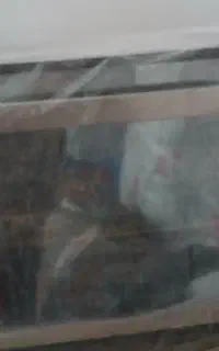 مایکروفر در خدنو