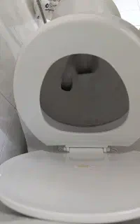 توالت فرنگی