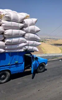 کاه دیم سفید درجه نرم