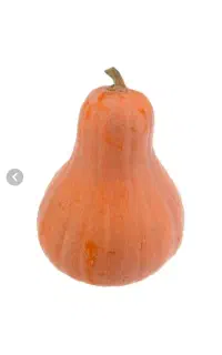 بذرکدو حلوایی