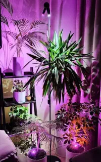 چراغ رشد گیاه مگنتی لایت میژن مدل sunrise 30 watt
