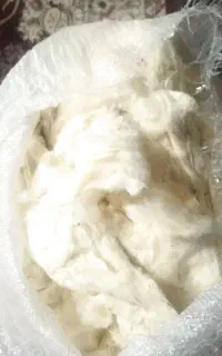 پنبه
