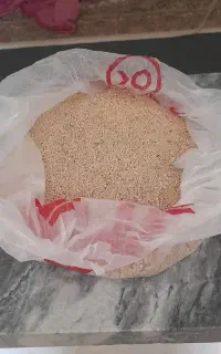 خشخاش دانه روغنی