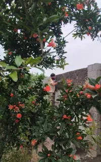 کارگر بنایی و ساختمانی