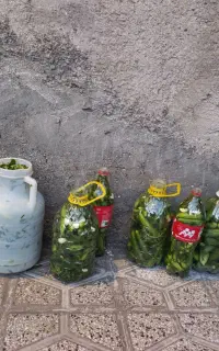 خیارشور ابسرده