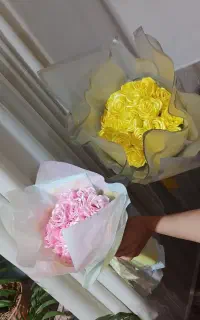 گل روبانی
