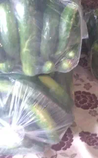 خیار سالادی