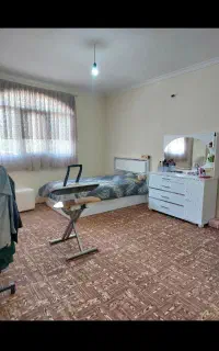 موکت طرح پارکت درحدنو