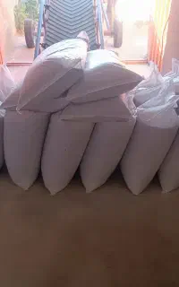 دان مرغ و خروس