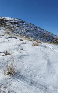 سیم کارت ایرانسل