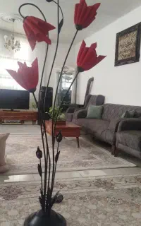 آباژور سالم