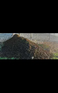 کود گاوی. تمیز هر ۱۰تن ۱۴میلیون