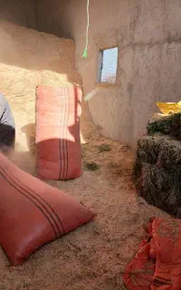 خرید وفروش کاه