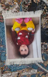 تابلو فرش ماهیان