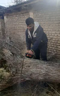 چوب باغ شمارو خریدارم