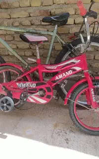 دوچرخه دماوند و دوچرخه دخترانه