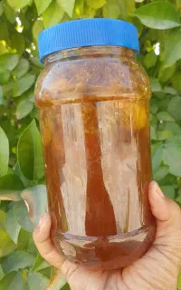 عسل کوهی