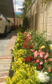 خدمات باغبانی.