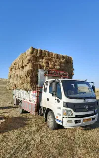 پرس علف
