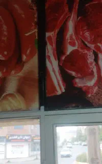 نیرو برای پروتئینی