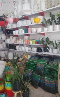 فروش گلدان و ملزومات گل و گیاه