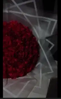 تخفیف سرا