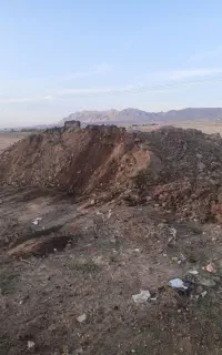 کود حیوانی
