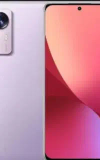 12 x